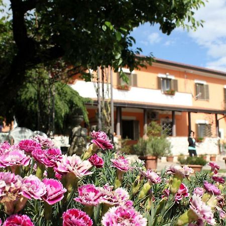 B&B Casale Shanti Piedimonte San Germano Luaran gambar